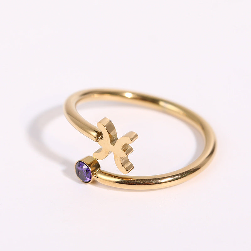 Zodiac Birthstone Ring (Stainless Steel)